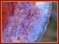 Snow on the Bird Bath 3-7-2016.jpg