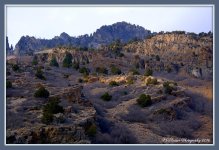 Sun Light on Timponogos Mountains 3-7-2016.jpg