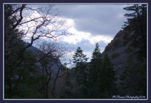 Shadows in the Canyon 3-7-2016.jpg