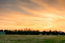 20160307-_D716254.jpg
