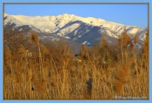 Francis Peak 3-8-2016.jpg