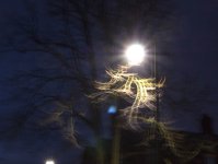DSC_5174.jpg