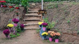 flowers-1.jpg