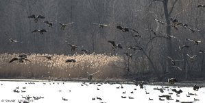 DSC_4114.jpg