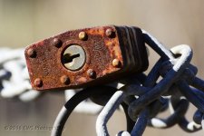 3-9-16-cr__D7K2200.jpg