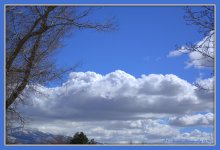 Beautiful Puffy Clouds 3-9-2016.jpg
