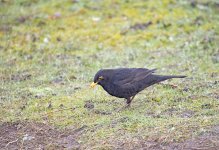 DSC_7469.jpg