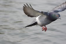 DSC_7523.jpg