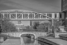 20160306-_D716129-2.jpg