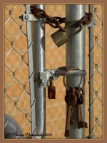 Keys on the Fence with 2 Locks 3-10-2016.jpg