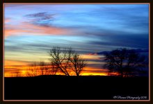 Sunset 3-10-2016.jpg
