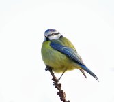 DSC_76462.jpg