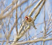 DSC_7626.jpg