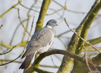 DSC_7634.jpg