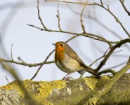 DSC_7766.jpg