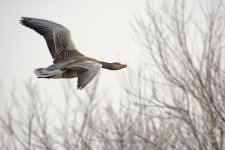 DSC_7743.jpg