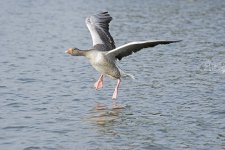 DSC_7756.jpg