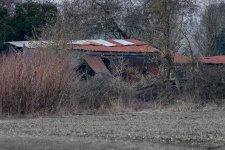 DSC_8085.jpg