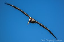 DSC_2996.jpg