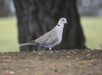 DSC_7846.jpg