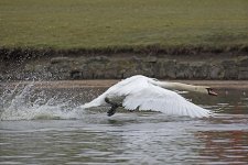 DSC_7923.jpg