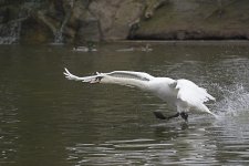 DSC_7950.jpg