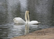 DSC_7886.jpg