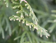 DSC_4144.jpg
