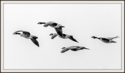 _DSC3278-Edit.jpg