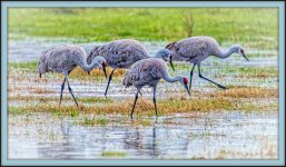 _DSC3289-Edit.jpg