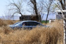 3-13-16-cr__D7K2290.jpg