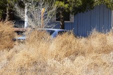 3-13-16-cr__D7K2291.jpg