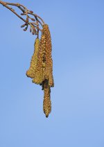 DSC_7970.jpg