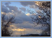 Sunrise in the Neighborhood 3-14-2016.jpg
