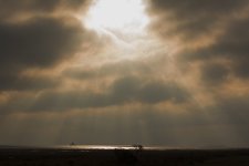 DSC_7971.jpg