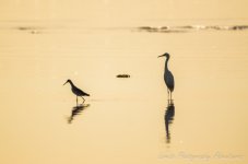 DSC_5024.jpg