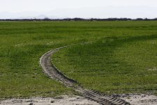 202967d1458101816-cwgrizzs-366-2016-a-3-15-16-cr__d7k2329.jpg