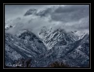 W_P_DSC_2055.jpg