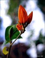 3-14-16 DFB Arbor   30.jpg