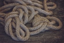 15 March 2016 - Secret Life of Rope.jpg