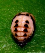 ISC_4822.jpg