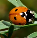ISC_5109.jpg