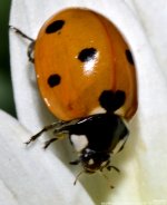 ISC_5114.jpg