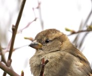 DSC_8207.jpg