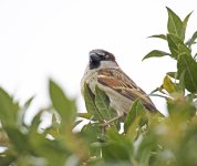 DSC_8190.jpg