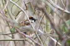 DSC_8210.jpg
