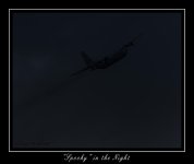 W_DSC_2170.jpg