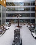 hospital inner yard.jpg