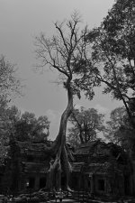 x_IMG_1611.jpg
