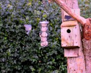birds_922.jpg